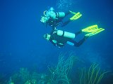Curacao 04-12 521